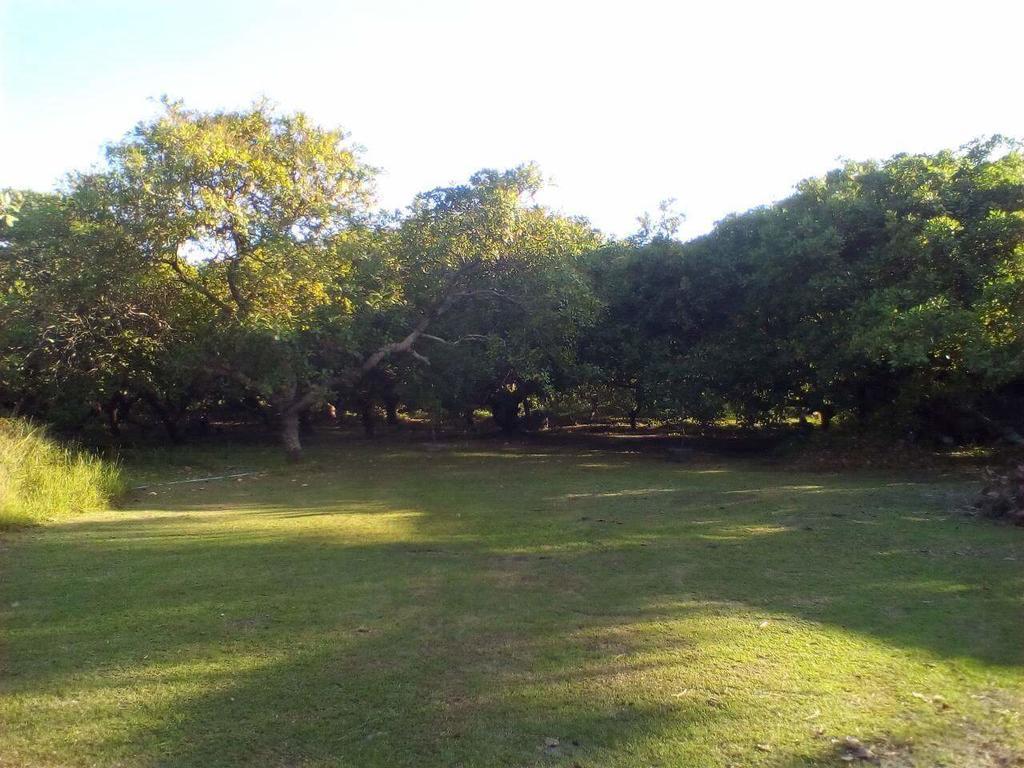 Cashew Nut Bungalow, Ko Mook Εξωτερικό φωτογραφία